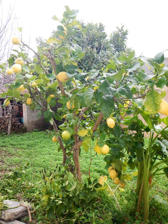Appartamenti By The Hill Fertilia Bagian luar foto